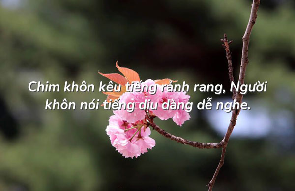 Người Khôn Nói Tiếng Rảnh Rang Gallery 1