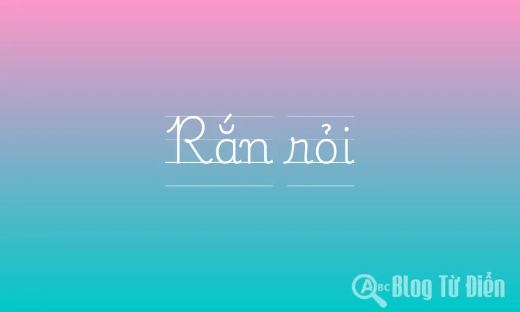 Rắn rỏi là gì? Gallery 1