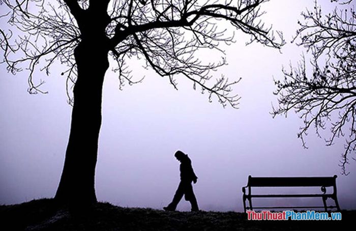 Trầm tính là gì? Gallery 1