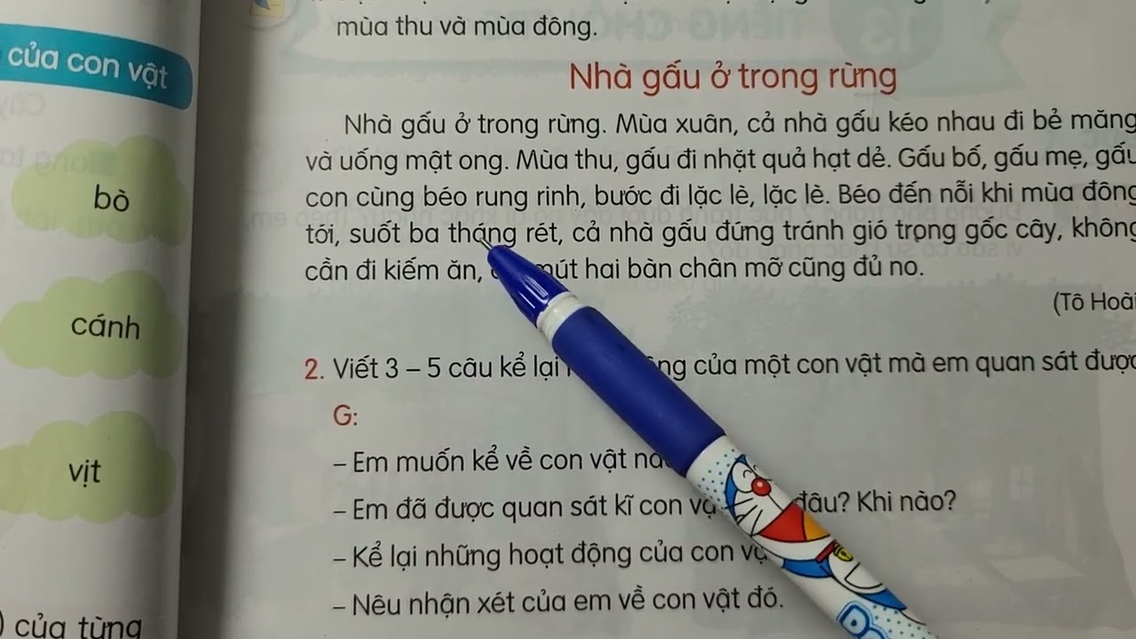 Nhà Gấu Ở Trong Rừng Gallery 1