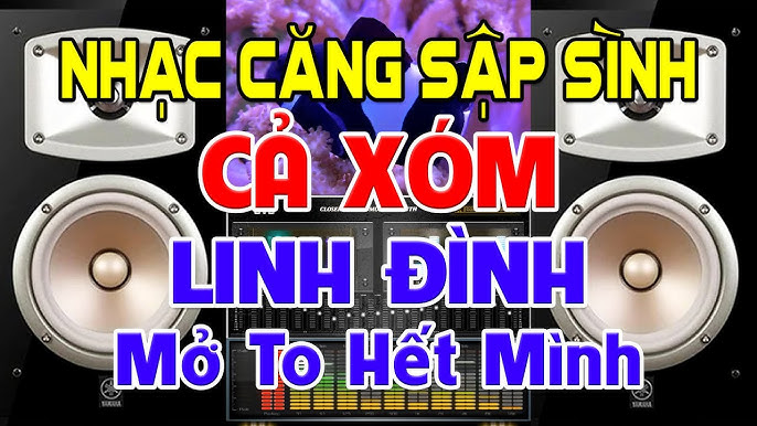 Nhạc Sập Sình là gì? Thể loại âm nhạc cực cuốn hút Gallery 2