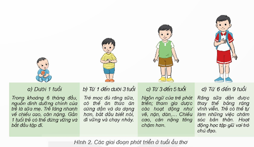 Bạn Thời Thơ Ấu Với Vẻ Ngoài Trong Sáng Gallery 1