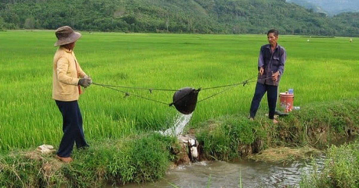 Nói lối là gì? Định nghĩa, đặc điểm và ví dụ Gallery 2
