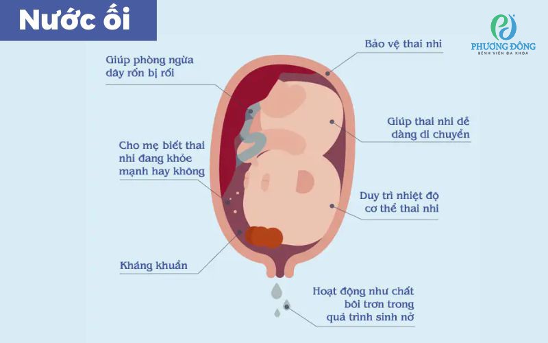 Nước ối như thế nào? Gallery 2