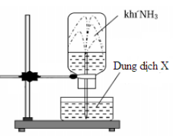 Khi cho dung dịch NaOH vào dung dịch NH4Cl đun nóng thì thấy thoát ra khí gì? Gallery 2