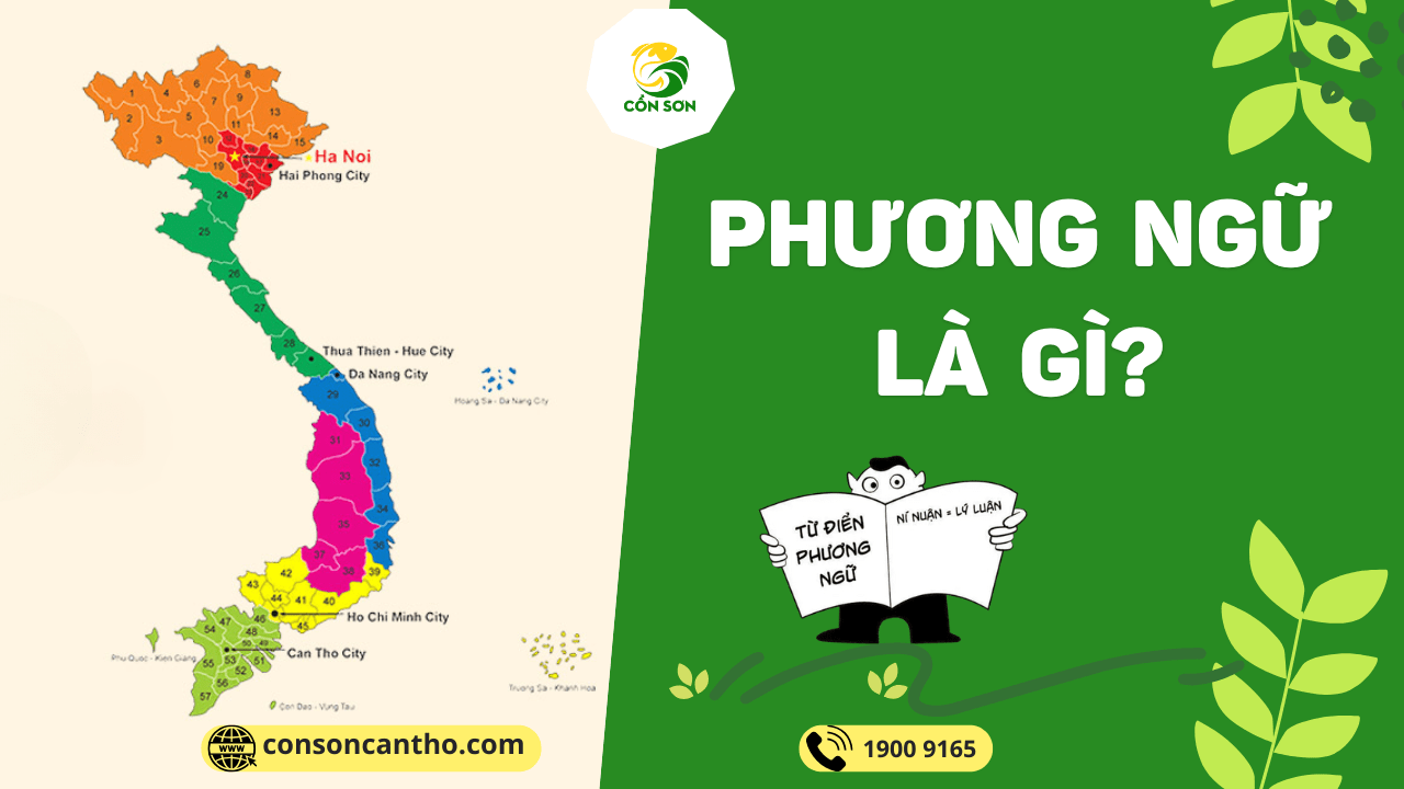 Phương Ngôn Là Gì? Gallery 1