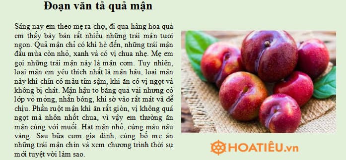 Mận Hậu - Loại Trái Cây Em Yêu Thích Gallery 1