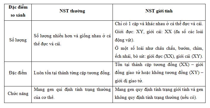 Sơ Xác Là Gì? Định Nghĩa, Đặc Điểm Và Ví Dụ Gallery 2