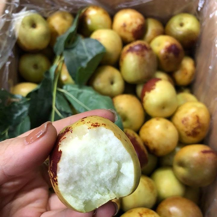 Phong Táo Hồng Ngự