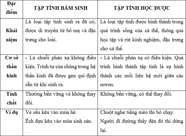 Tập Tính Bẩm Sinh Là Gì? Gallery 1