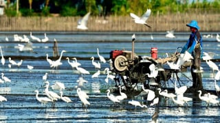 Thái độ lồi lõm là gì? Gallery 1
