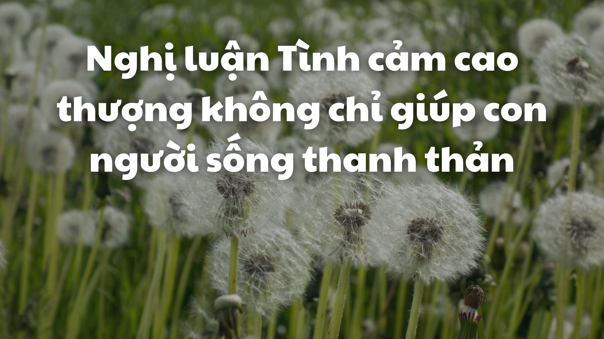 Tình Cảm Cao Thượng Là Gì? Gallery 1