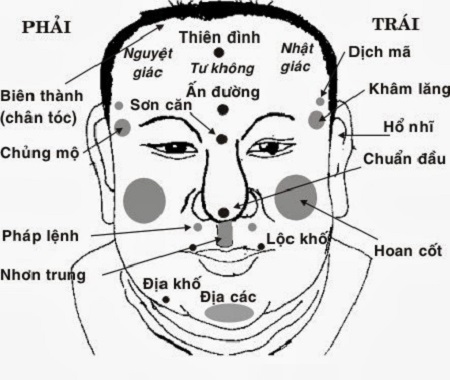 Trán Phục Tê Cốt Là Gì? Gallery 1