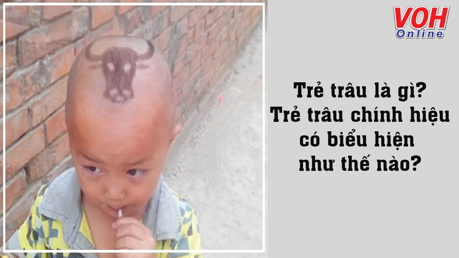 Định nghĩa Trẻ Trâu là gì? Gallery 1