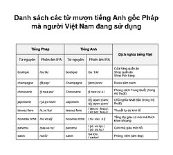 Từ mượn là gì? Gallery 1