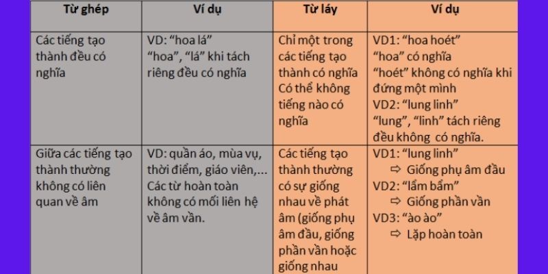 Từ Phức Là Gì? Gallery 2