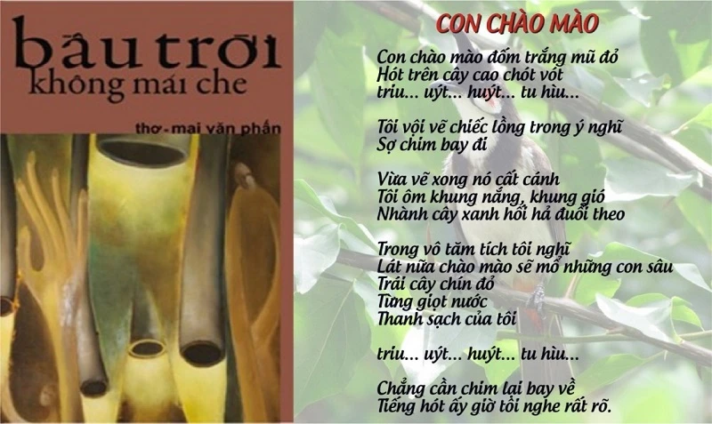 Văn bản con chào mào Gallery 1