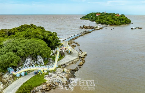 Vẹ Bạc: Đặc điểm, môi trường sống và cách bảo vệ Gallery 1
