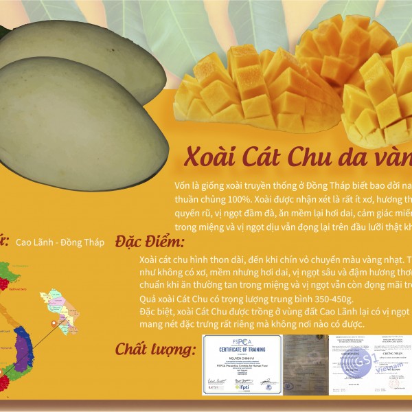 Xoài Cát Chu Chú Chín Gallery 1