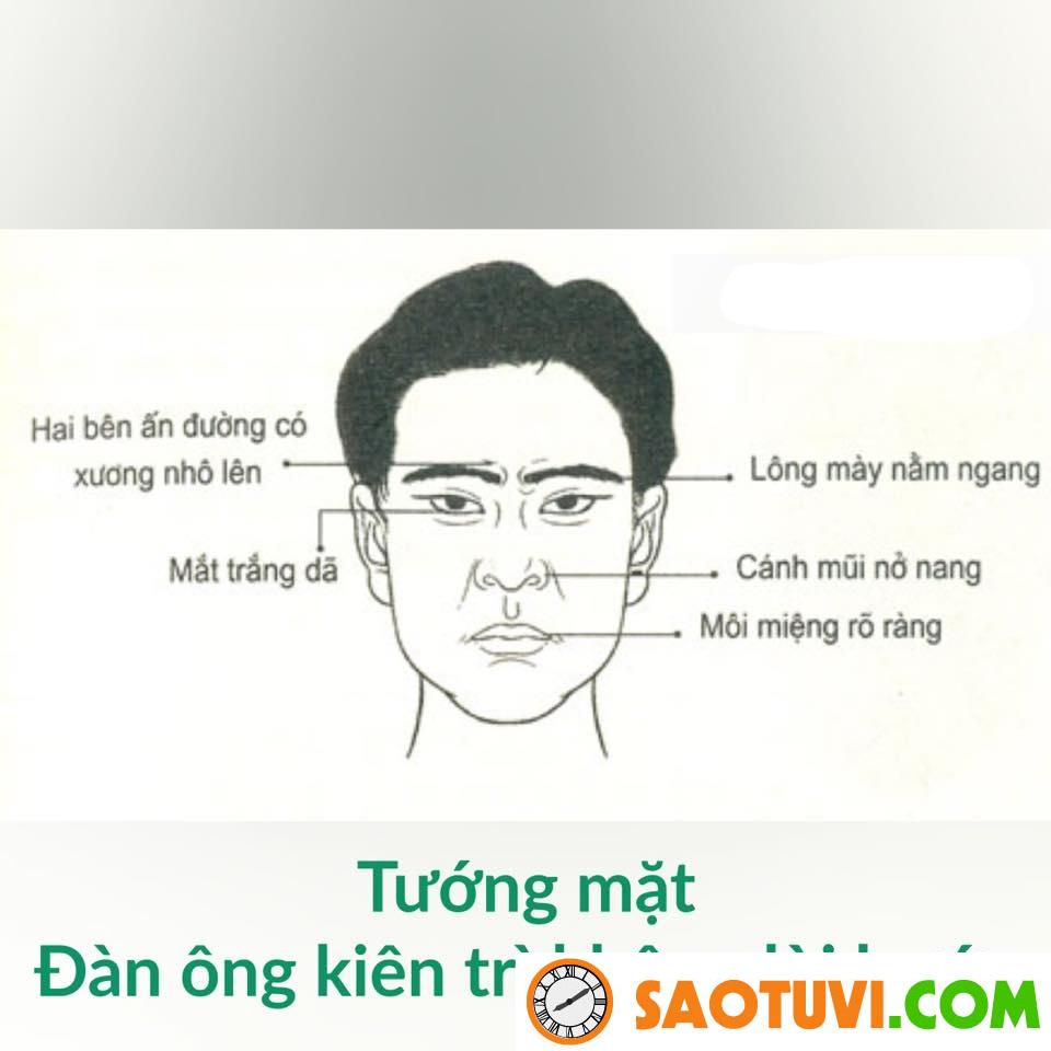 Tướng Đàn Ông Nhu Nhược Gallery 2