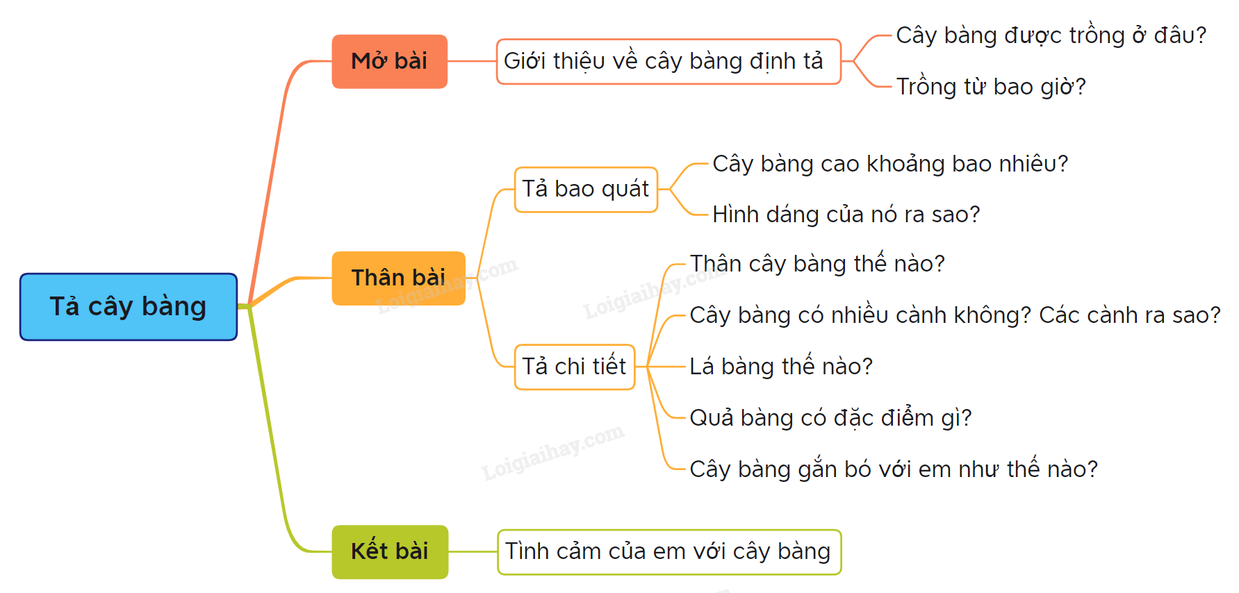 Tả cây bàng Gallery 2