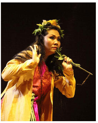 Sủy Vân Giả Dại Gallery 1