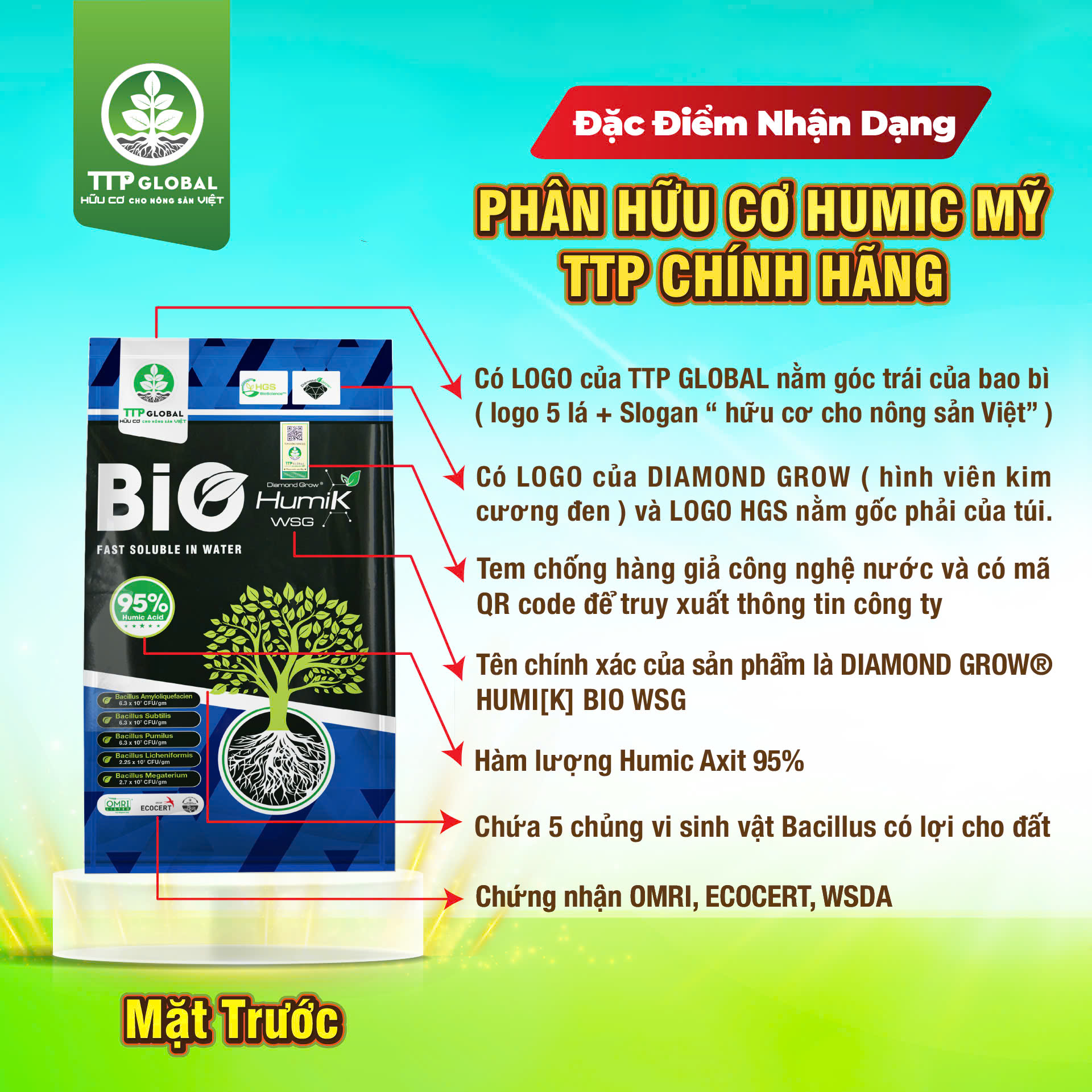 Hàng Sịn Là Gì? Khám Phá Thế Giới Hàng Cao Cấp Gallery 1