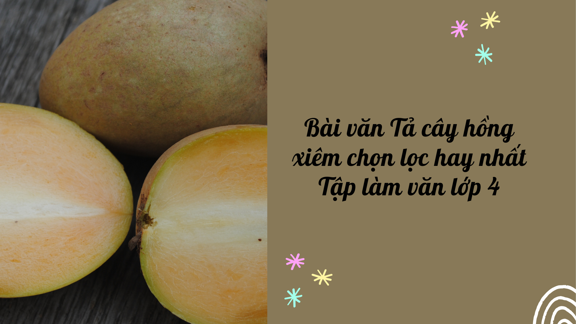 Tả cây hồng xiêm lớp 4 Gallery 2