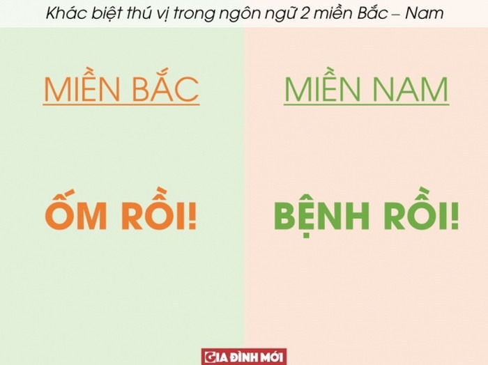 Từ ngữ miền Bắc: Khám phá nét đẹp ngôn ngữ vùng đồng bằng Gallery 1