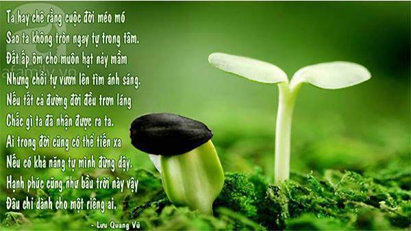 Tự Sự Lưu Quang Vũ Gallery 1