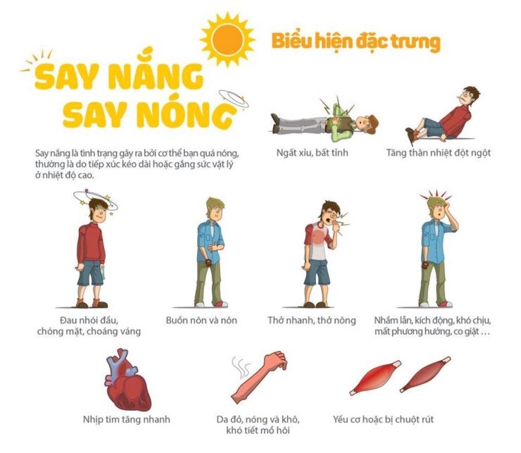 Nỗi nhớ của người say nắng Gallery 1