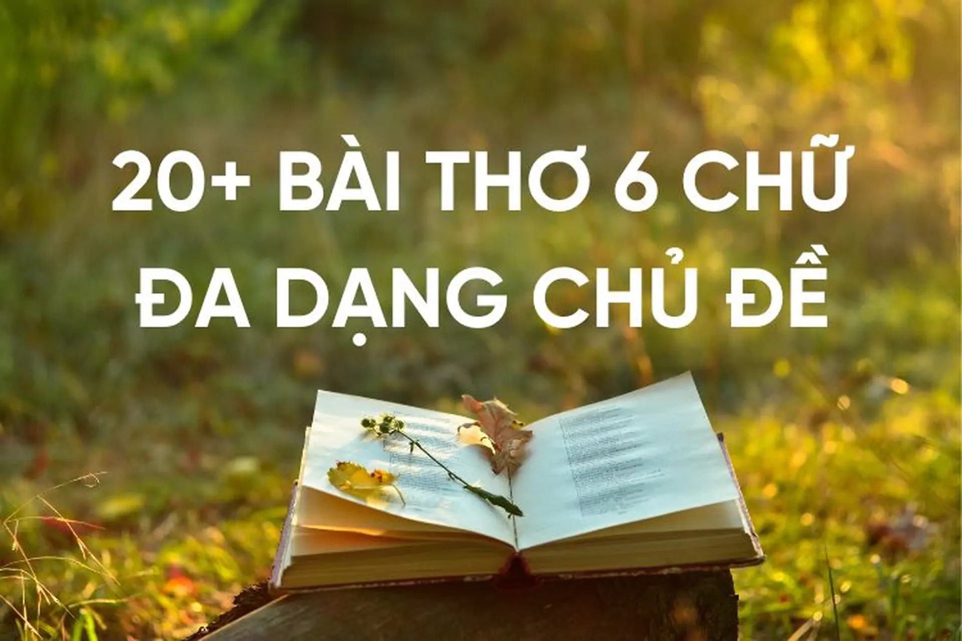 Có Thể Thơ 6 Chữ Không? Gallery 1