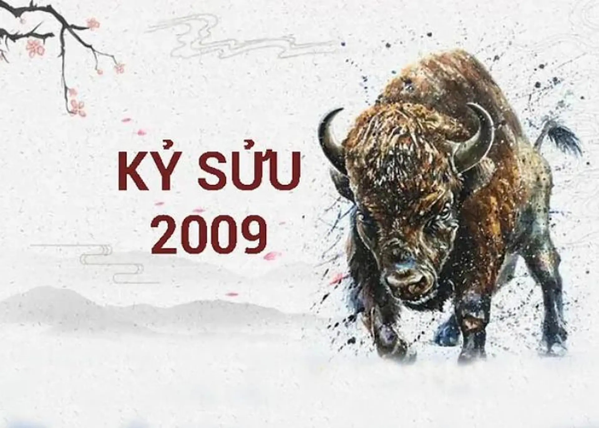 Trai 2009: Sinh năm 2009 thuộc tuổi gì, tính cách và vận mệnh ra sao? Gallery 1