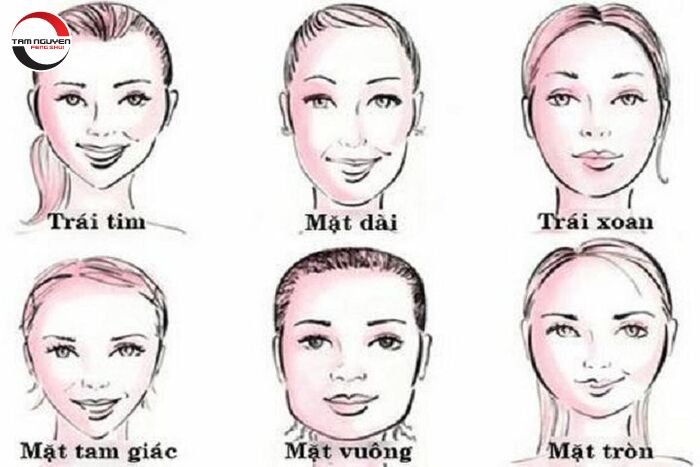 Tướng Mặt Vuông Tròn: Phân Tích Đặc Điểm Và Ý Nghĩa Gallery 1