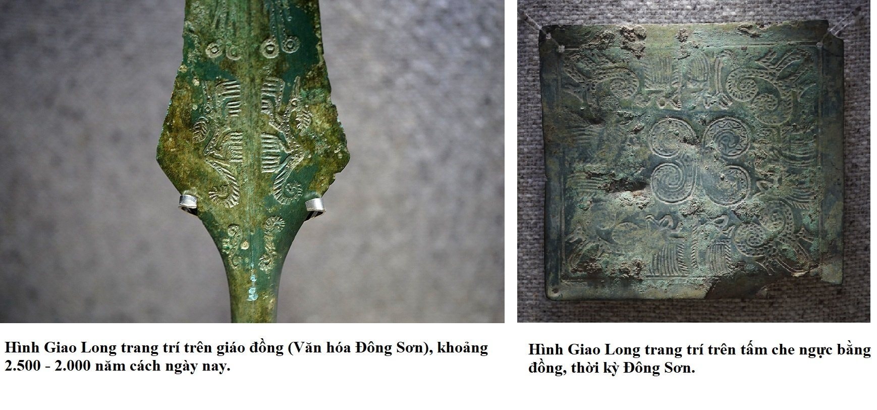 Giao Long Là Gì? Khám Phá Thế Giới Huyền Bí Của Rồng Á Châu Gallery 2