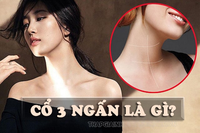 Cổ Kiêu Ba Ngấn Gallery 2