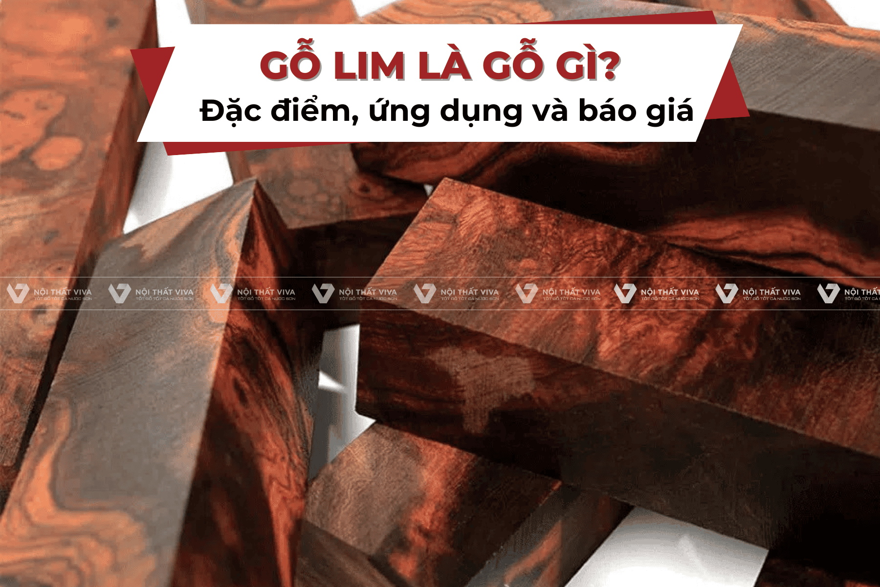 Xà Lim Là Gì? Gallery 2