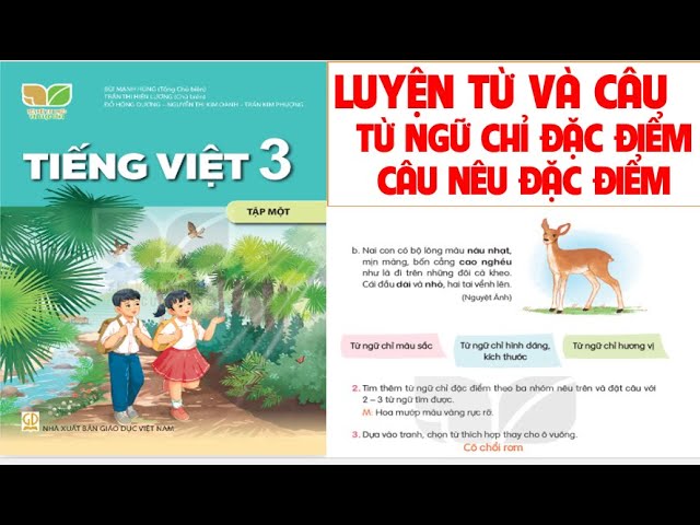 Đặc điểm nổi bật của học sinh lớp 3 Gallery 2