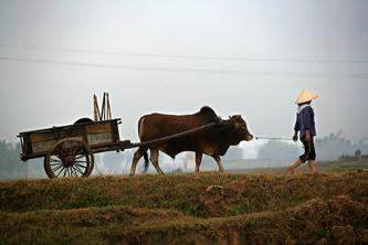 Dãi nắng dầm sương