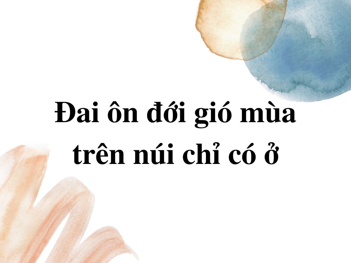 Đai ôn đới gió mùa trên núi
