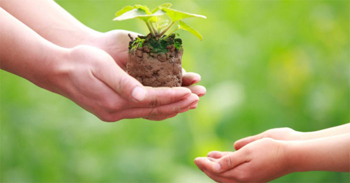 Dẫn Chứng Cho Đi Và Nhận Lại