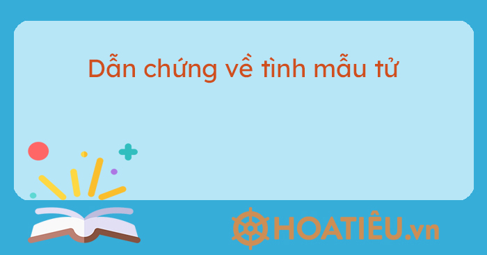 Dẫn Chứng Của Tình Mẫu Tử: Những Minh Chứng Về Tình Yêu Vĩ Đại