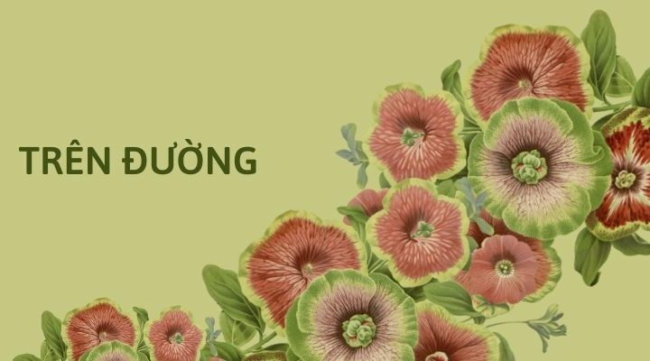 Dàn trải hay giàn trải? Gallery 2