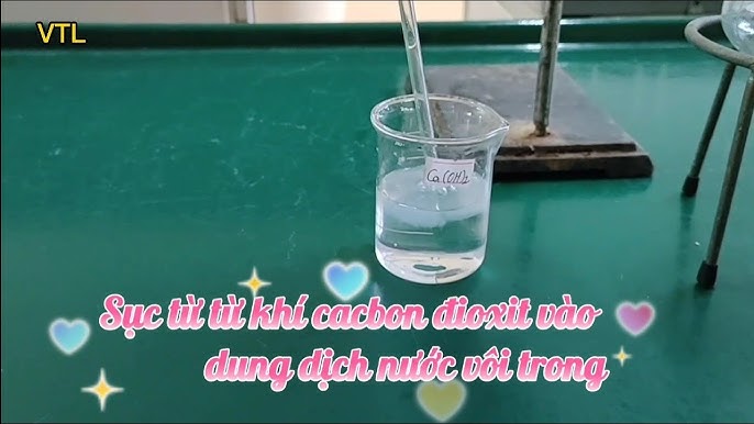 Dẫn từ từ CO2 vào nước vôi trong đến dư: Hiện tượng và giải thích