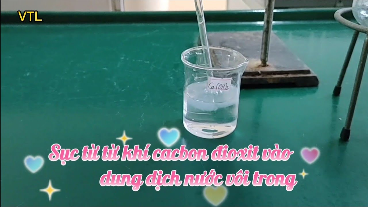 Dẫn từ từ khí CO2 đến dư vào dung dịch nước vôi trong