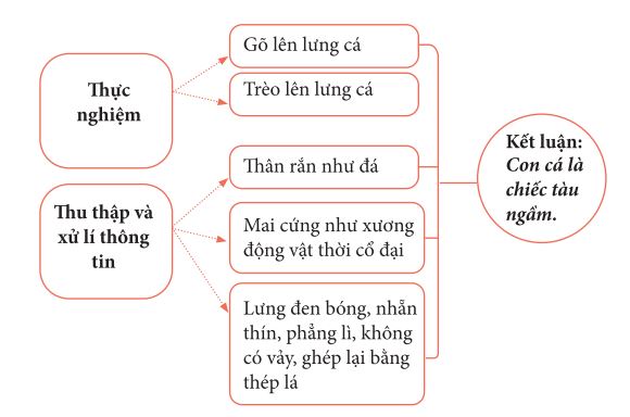 Soạn Văn 7 Bài Cuộc Chạm Trán Trên Đại Dương Gallery 2