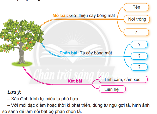 Dàn ý tả cây bóng mát lớp 4