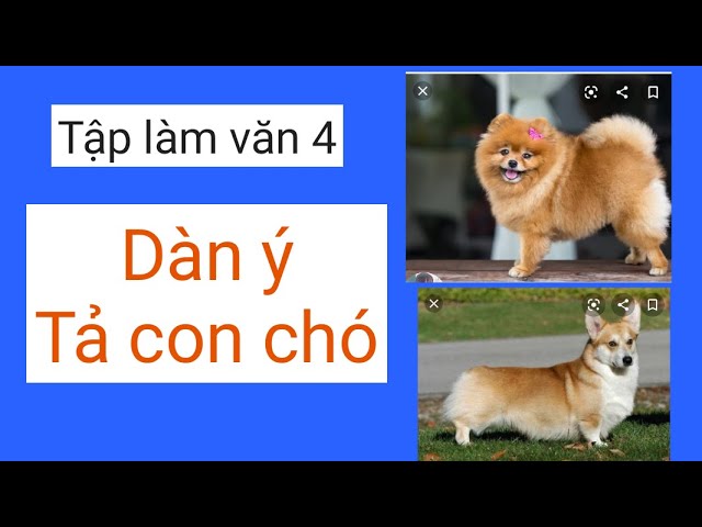 Dàn ý và bài viết chi tiết tả con chó Gallery 1