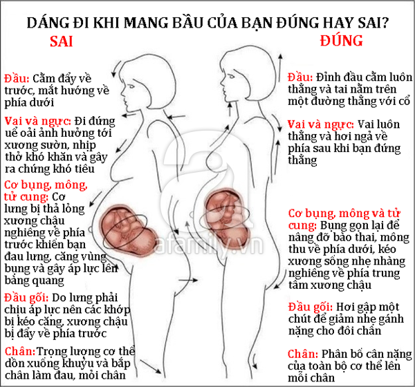 Dáng Đi Của Người Mang Thai