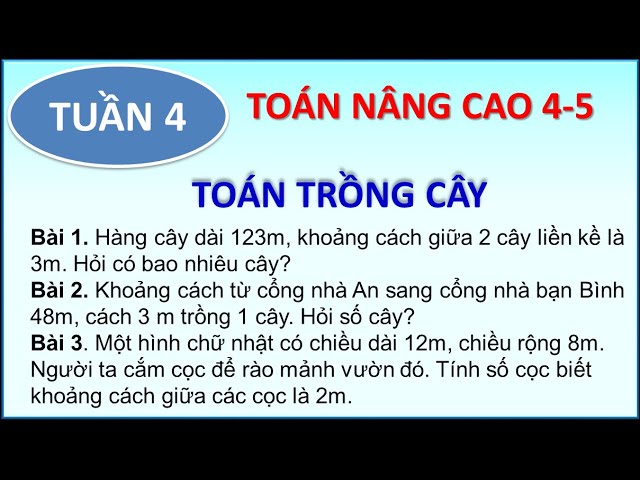 Dạng Toán Trồng Cây Lớp 5: Cách Giải và Bài Tập Gallery 2